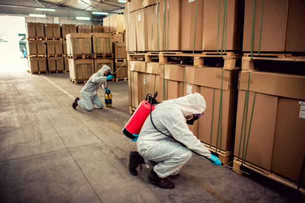 Best Exterminator Services  in Charleston, MO