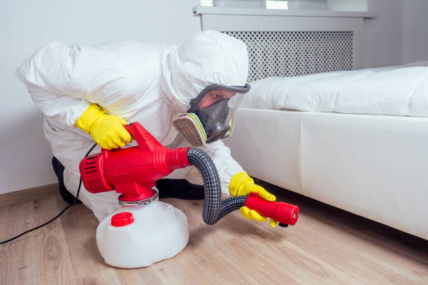 Best Affordable Pest Control Services  in Charleston, MO