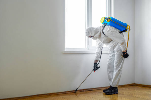 Best Affordable Pest Control Services  in Charleston, MO