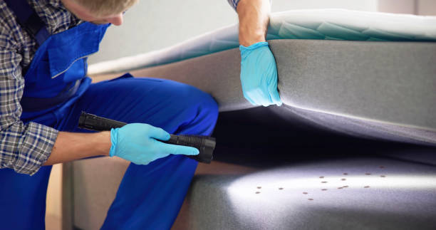 Best Mosquito Control Services  in Charleston, MO