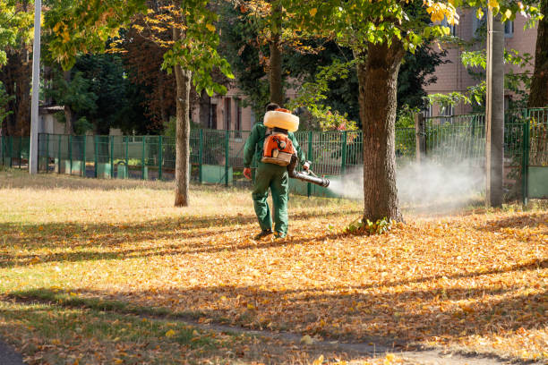 Best Mosquito Control Services  in Charleston, MO
